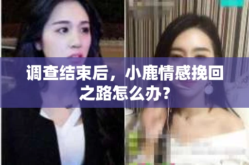 调查结束后，小鹿情感挽回之路怎么办？