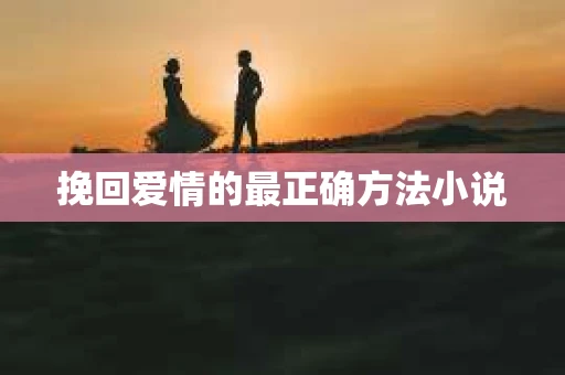 挽回爱情的最正确方法小说