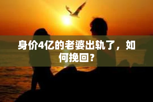身价4亿的老婆出轨了,如何挽回? 身价4亿的老婆出轨了,如何挽回?