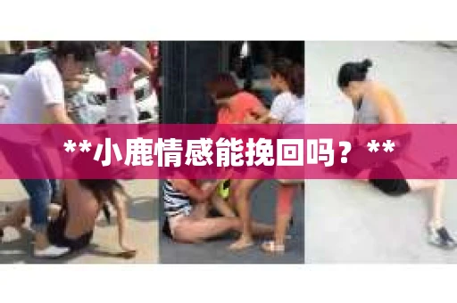 **小鹿情感能挽回吗？**