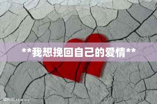 **我想挽回自己的爱情**