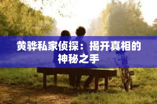 黄骅私家侦探：揭开真相的神秘之手
