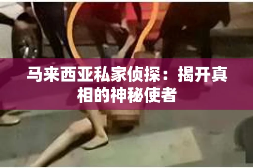 马来西亚私家侦探：揭开真相的神秘使者