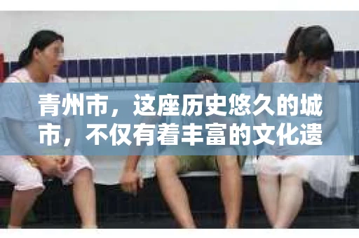 青州市，这座历史悠久的城市，不仅有着丰富的文化遗产，也有着现代生活的便捷。那么，问题来了——青州市有私家侦探公司吗？这个问题，对于需要侦探服务的人来说，无疑至关重要。接下来，我就来为大家揭开这个谜底。