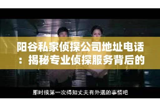阳谷私家侦探公司地址电话：揭秘专业侦探服务背后的故事