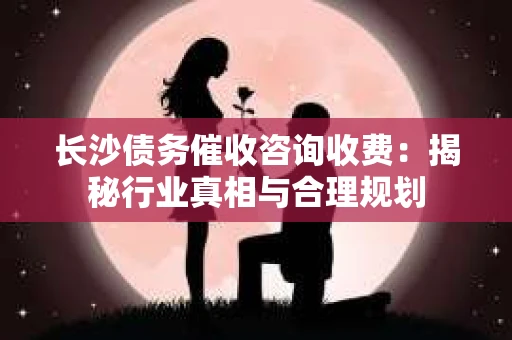 长沙债务催收咨询收费：揭秘行业真相与合理规划