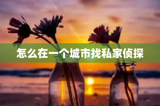 怎么在一个城市找私家侦探