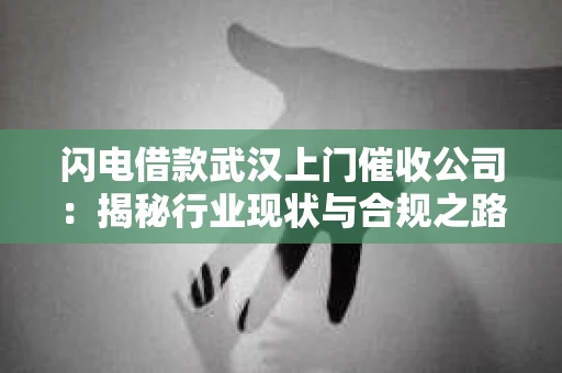 闪电借款武汉上门催收公司：揭秘行业现状与合规之路