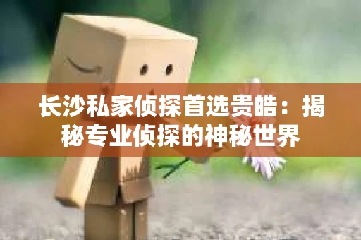 长沙私家侦探首选贵皓：揭秘专业侦探的神秘世界