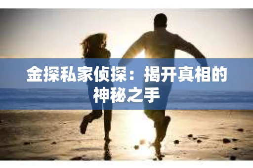 金探私家侦探：揭开真相的神秘之手