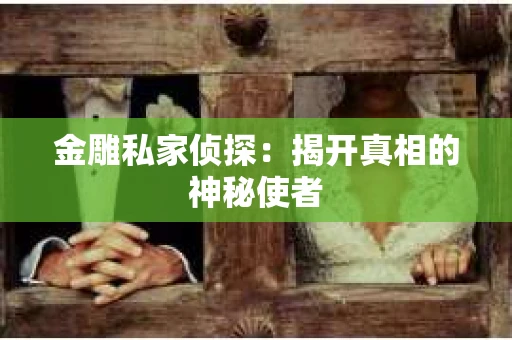 金雕私家侦探：揭开真相的神秘使者