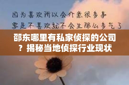 邵东哪里有私家侦探的公司？揭秘当地侦探行业现状