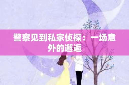 警察见到私家侦探：一场意外的邂逅