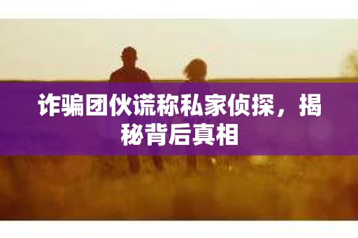 诈骗团伙谎称私家侦探，揭秘背后真相