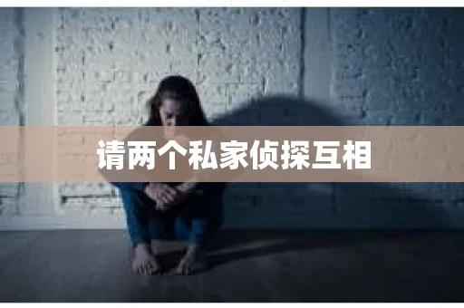 请两个私家侦探互相