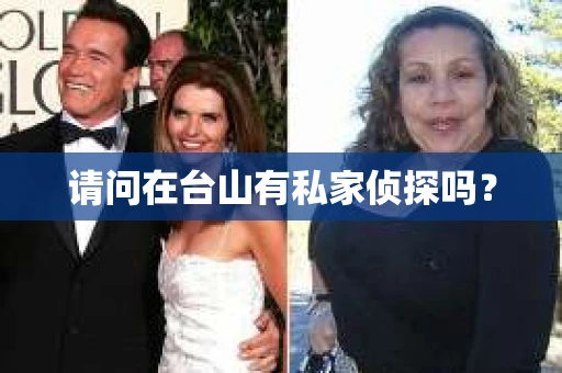 请问在台山有私家侦探吗？