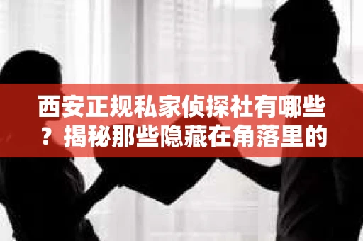 西安正规私家侦探社有哪些？揭秘那些隐藏在角落里的神秘力量