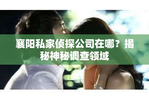 襄阳私家侦探公司在哪？揭秘神秘调查领域