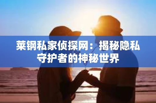 莱钢私家侦探网：揭秘隐私守护者的神秘世界