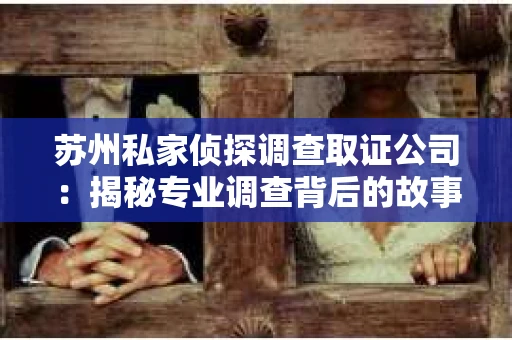 苏州私家侦探调查取证公司：揭秘专业调查背后的故事