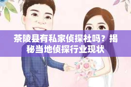 茶陵县有私家侦探社吗？揭秘当地侦探行业现状