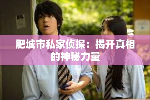 肥城市私家侦探：揭开真相的神秘力量