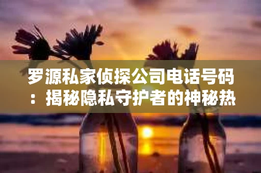 罗源私家侦探公司电话号码：揭秘隐私守护者的神秘热线