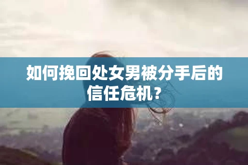 如何挽回处女男被分手后的信任危机？