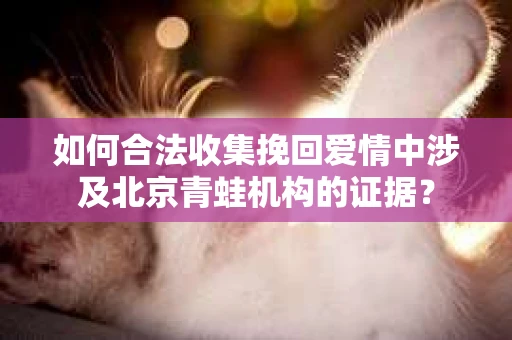 如何合法收集挽回爱情中涉及北京青蛙机构的证据？