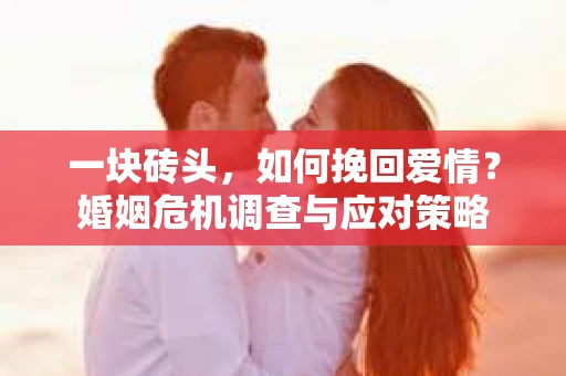 一块砖头，如何挽回爱情？婚姻危机调查与应对策略