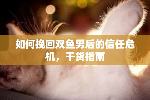 如何挽回双鱼男后的信任危机，干货指南