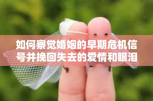 如何察觉婚姻的早期危机信号并挽回失去的爱情和眼泪？