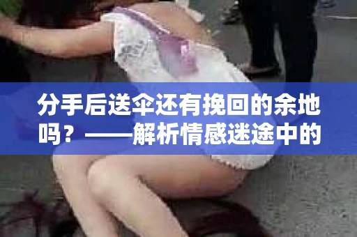 分手后送伞还有挽回的余地吗？——解析情感迷途中的决策