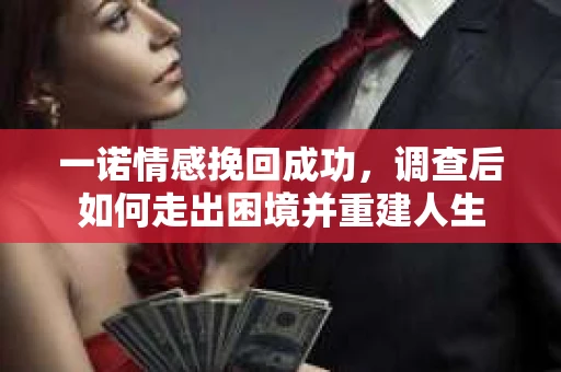 一诺情感挽回成功，调查后如何走出困境并重建人生
