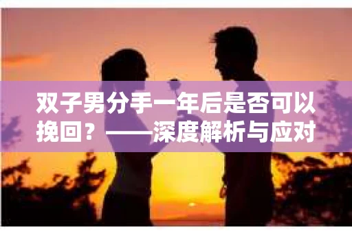 双子男分手一年后是否可以挽回？——深度解析与应对策略