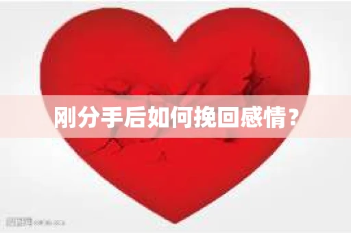 刚分手后如何挽回感情？